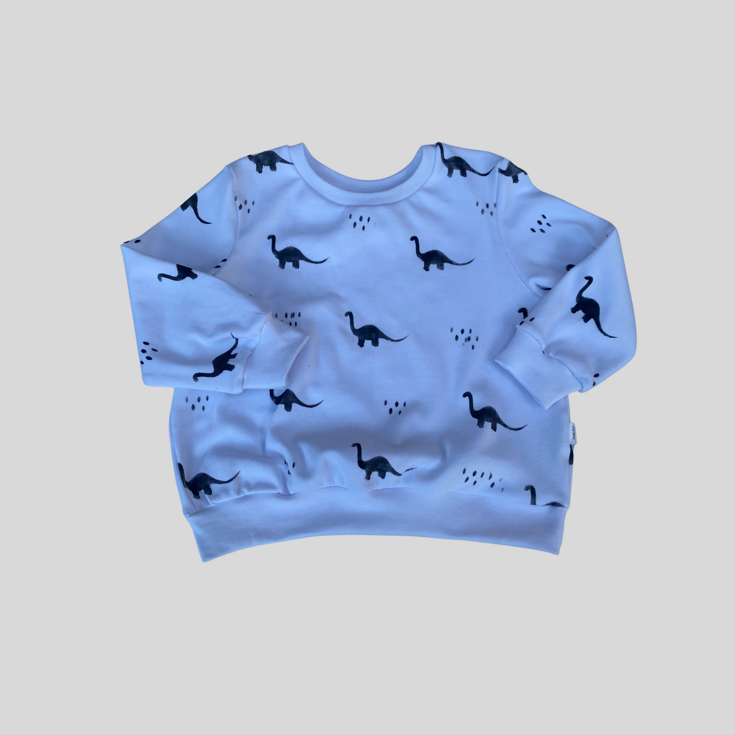 Dinosaur Sweater