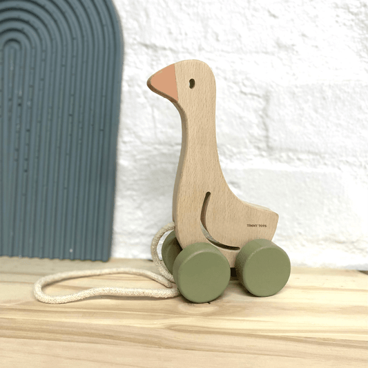 Little Goose Pull-Along