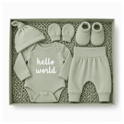 Baby Gift Box -Hello world sage