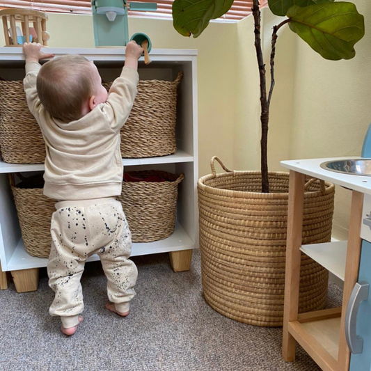 Bear Tracksuit - Printed - Ella and Jo