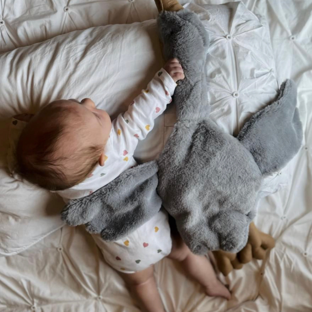 Snooz Gooz - Grey