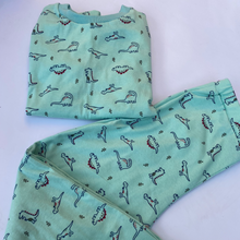 Load image into Gallery viewer, Dinosaur Pajamas Mint
